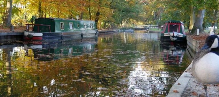 Autumn Canal Holidays Near London
