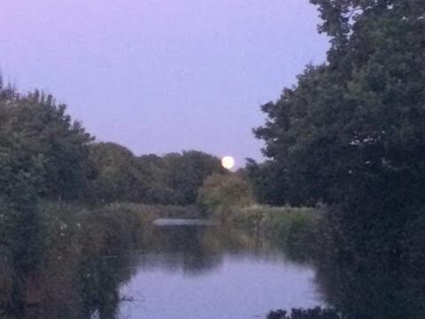 Case Study Galleon Marine Picnic Area – 3