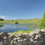 Thumbnail of 